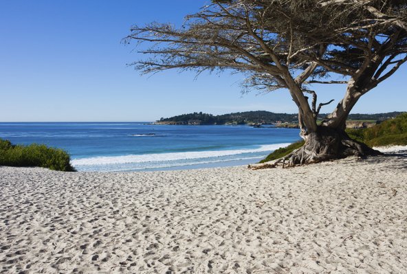 חוף כרמל, אחד החופים היפים בקליפורניה