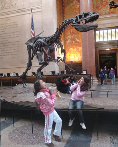 שלד דינוזאור במוזיאון לתולדות הטבע