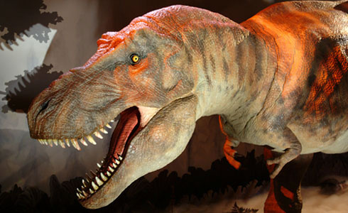 מוזיאון הטבע. האטרקציה העיקרית היא אוסף שלדי דינוזאורים מאובנים 