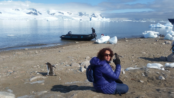 טיול של פעם בחיים: הכותבת מתיידדת עם פינגווינים | צילומים בכתבה: טלי גפן