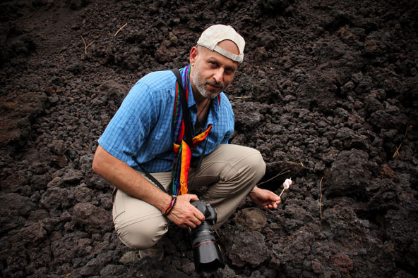 הכותב מחמם מרשמלו על אבני הבזלת החמות בהר הגעש פקאיה 